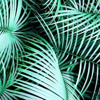 Profile Picture of Paige Caskey (@paige-caskey) on Quora