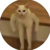Profile Picture of taylor dunlap (@@taylordunlappp) on Tiktok