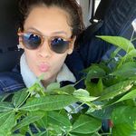 Profile Picture of Senora Pointer (@jmesbabe13) on Instagram