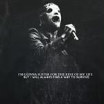 Profile Picture of Michael Muccino (@blackstang3.7) on Instagram