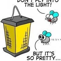 David Lapratt - Myspace Profile Picture of David Lapratt (@davidlaprattz) on Myspace