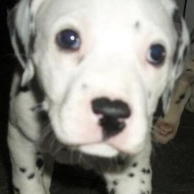 Profile Picture of Barry Sims (@barrysims10) on Twitter