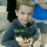 Profile Picture of david pilon (@davidpilondp) on Instagram