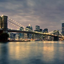 Profile Picture of Damien Arnold (@trop_flop21) on Twitter