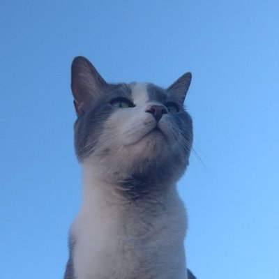 Profile Picture of Tarl Cooley (@TarlC) on Twitter