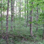 Profile Picture of Colin Brown (@far_more_brown) on Instagram