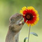 Profile Picture of Brian Stodola (@brian_stodola) on Instagram