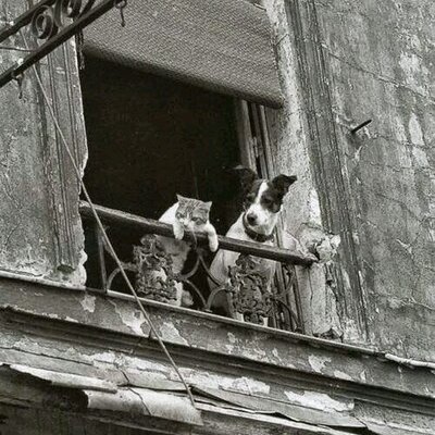 Profile Picture of George Humphrey (@buzzzerc) on Twitter