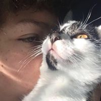 Profile Picture of Chris Batchelor (@slade1955) on Pinterest