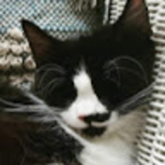 Profile Picture of Kayla michelle Brockway (@makbrockway) on Poshmark