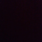 Profile Picture of Luke Jellema (@lukejellema) on Youtube