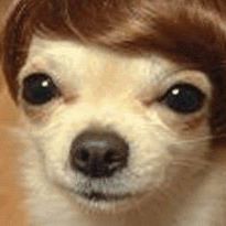 Casandra Murrieta - Facebook Profile Picture of Casandra Murrieta (@lilli.lilli.948) on Facebook