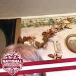 Profile Picture of Debbie Campbell (@debbie9858) on Instagram