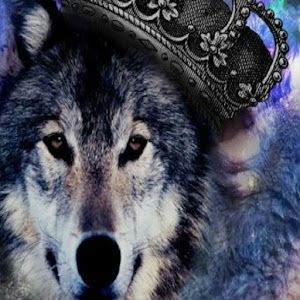 Profile Picture of whitneywolf (@whitneywolf) on Tiktok
