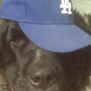 Profile Picture of Toddster Tapper (@toddster.tapper) on Facebook