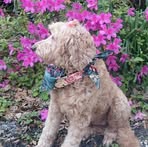 Profile Picture of Gary Kirschner (@gary.kirschner.12) on Facebook