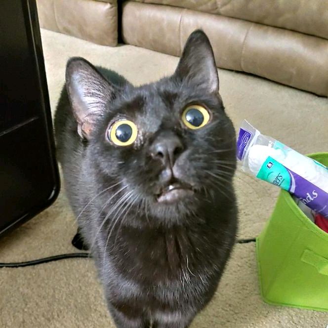 Profile Picture of Christopher Keeling (@iamchris861) on Tiktok