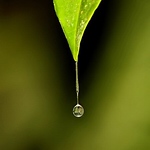 Profile Picture of yousef almslmani (@yousef almslmani) on Flickr