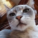 Profile Picture of Eliane Grascher (@eliane.grascher) on Facebook