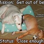 Profile Picture of Kim Sides (@kim.7435) on Instagram