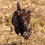 Profile Picture of Aaron Christensen (@a_a_ronchristensen) on Instagram