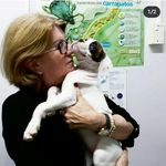 Profile Picture of Marlene Wilhelm Eilers (@marleneveterinaria) on Instagram