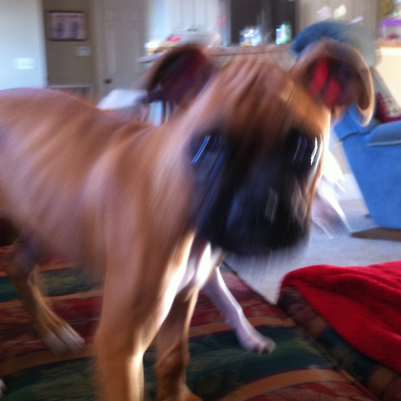 Profile Picture of Crystal Atkinson (@crysraine) on Poshmark