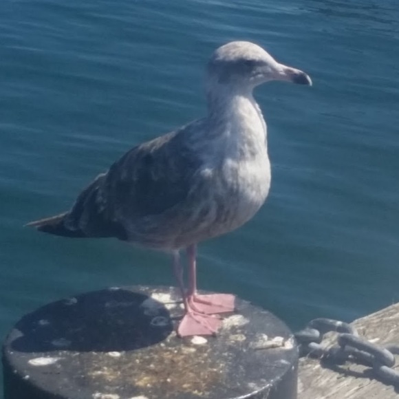 Profile Picture of Callie Brust (@callieobrust) on Poshmark