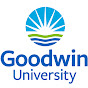 Profile Picture of Goodwin University Online Studies (@@goodwincollegevideo) on Tiktok