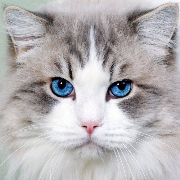 Profile Picture of Kyle Power (@kyljpow1621) on Poshmark