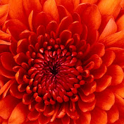 Profile Picture of Kevin Cruickshank (@dusk7770) on Youtube