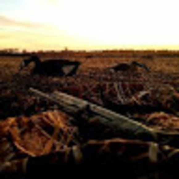 Profile Picture of Grady Erickson (@cheif744) on Poshmark