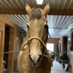 Profile Picture of Patrick Kerrigan (@patrick_kerrigan_eq) on Flickr