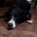 Profile Picture of Marlene Wiley (@sonnyrose) on Pinterest