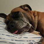 Profile Picture of Wendell Harrell (@wendellharrell) on Instagram