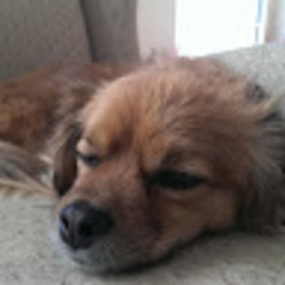 Profile Picture of Luke Mackinnon (@poshofosho) on Poshmark