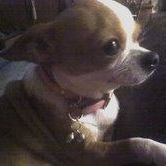 Profile Picture of Connie Bauldree (@348434708) on Myspace