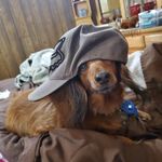 Profile Picture of Joshua Schroeder (@joshuaschroedermt) on Instagram