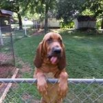 Profile Picture of Harold Cranford (@haroldcranford) on Instagram