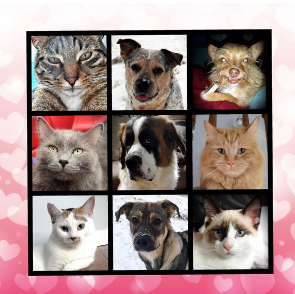 Profile Picture of Stephanie Mcalpine (@s_mcalpine) on Poshmark