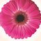 Profile Picture of Juliette Meyer (@Juliette-Meyer) on Facebook