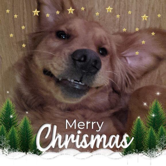 Sandy Asbacher - Poshmark Profile Picture of Sandy Asbacher (@sandiasb) on Poshmark