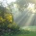 Profile Picture of Henry Agyake (@hagyake) on Pinterest