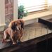 Profile Picture of Ken Elsasser (@ken.elsasser.3) on Facebook