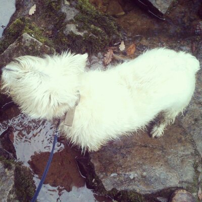 Profile Picture of Anthony Neagle (@AnthonyNeagle) on Twitter