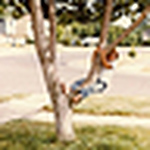 Profile Picture of javabennett (@javabennett) on Flickr