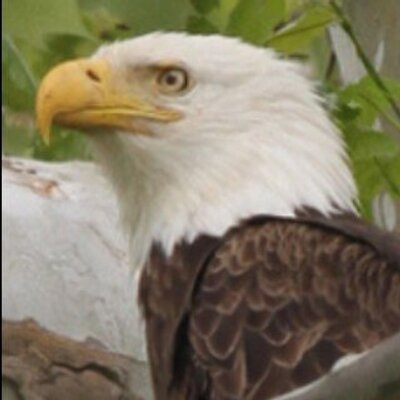 Profile Picture of Kenneth Dutton (@tallman_81) on Twitter