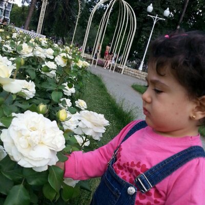 Profile Picture of Enas Saad (@enassaad12) on Twitter