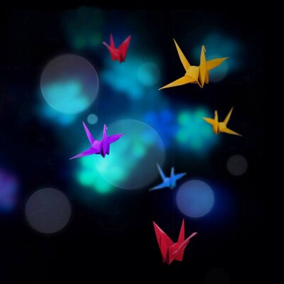 Profile Picture of Robert Lim (@RobertlimLim) on Twitter