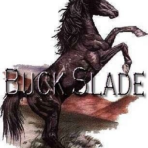 Profile Picture of Tom Smalling (@BuckBuckslade) on Twitter